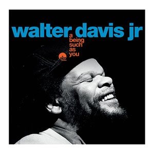 Review of Walter Davis Jr: A Being Such As You