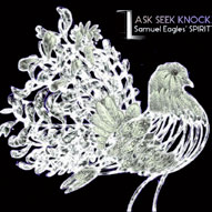 Review of Samuel Eagles' SPIRIT: Ask, Seek, Knock