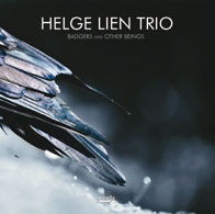 Review of Helge Lien Trio: Badgers and Oteings