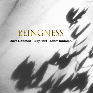 Review of Dave Liebman/Billy Hart/Adam Rudolph: Beingness