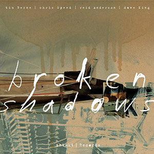 Review of Broken Shadows