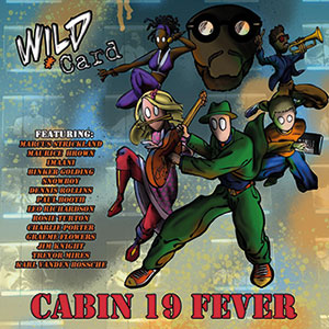 Review of Wild Card: Cabin 19 Fever