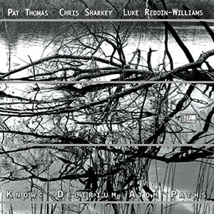 Review of Pat Thomas/Chris Sharkey/Luke Reddin-Williams: Know: Delirium Atom Paths