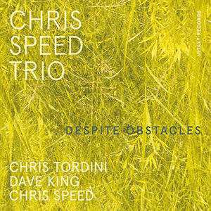 Review of Chris Speed Trio: Despite Obstacles