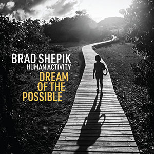 Review of Brad Shepik: Dream Of The Possible