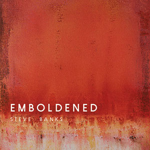 Review of Steve Banks: Emboldened