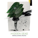 Review of Maria Chiara Argirò: Hidden Seas