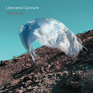 Review of Yuhan Su: Liberated Gesture