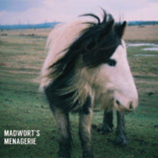 Review of Madwort's Menagerie