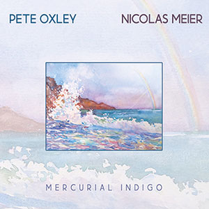 Review of Pete Oxley, Nicolas Meier: Mercurial Indigo