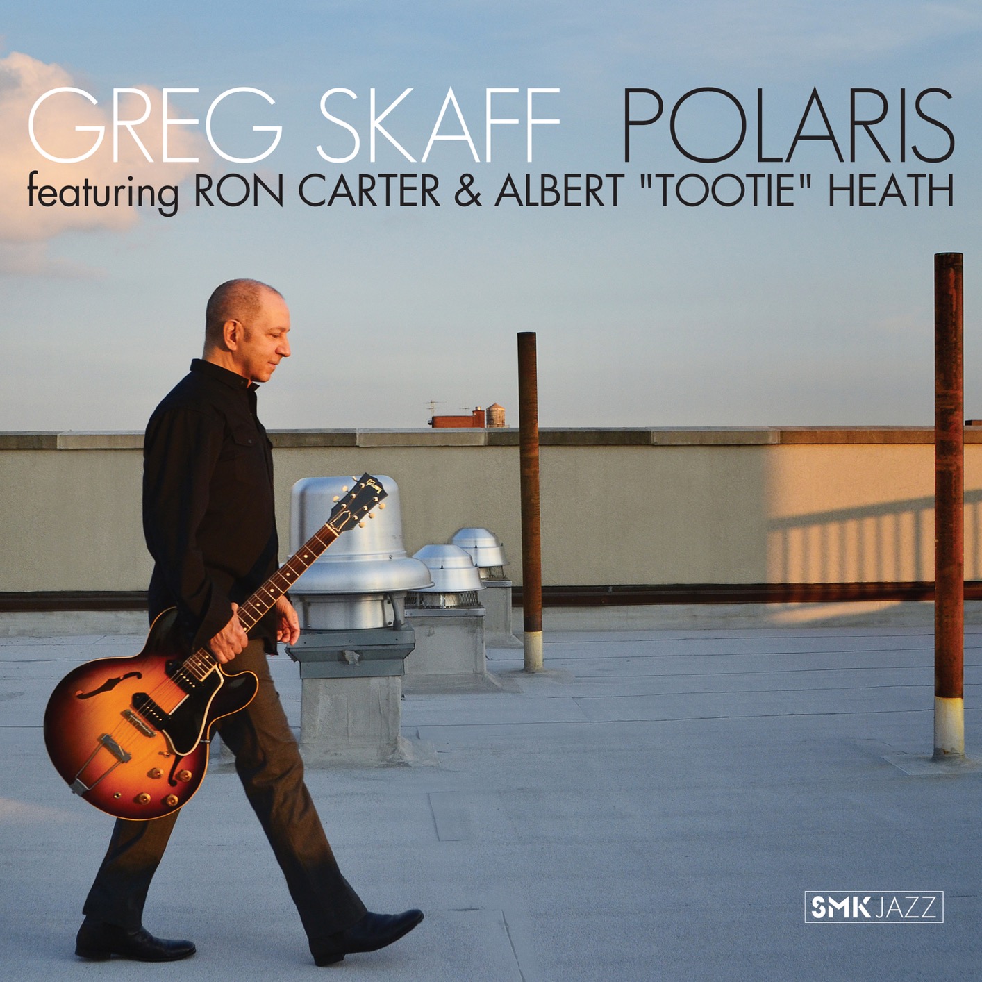 Review of Greg Skaff: Polaris