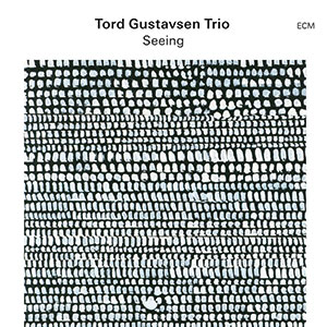 Review of Tord Gustavsen Trio: Seeing