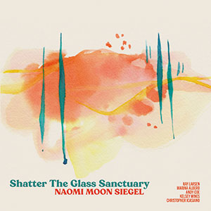 Review of Naomi Moon Siegel: Shatter the Glass Sanctuary