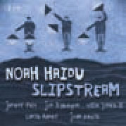 Review of Noah Haidu: Slipstream