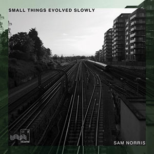 Review of Sam Norris: Small Things Evolved Slowly