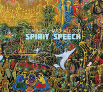 Review of Dominic J Marshall Trio: Spirit Speech