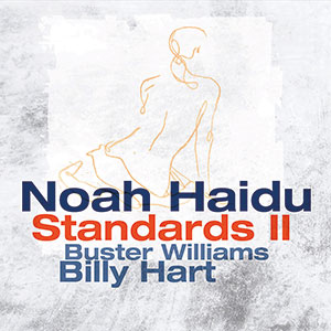 Review of Noah Haidu: Standards II