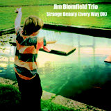 Review of Jim Blomfield Trio: Strange Beauty (Every Way OK)