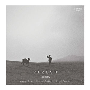 Review of Vazesh: Tapestry