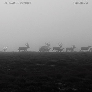 Review of Ali Watson Quartet: Terrarium