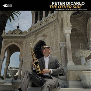 Review of Peter DiCarlo: The Other Side