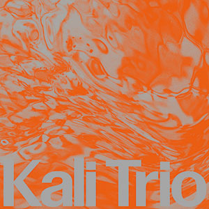 Review of Kali Trio: The Playful Abstract