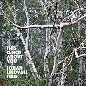 Review of Johan Lindvall Trio: This Is Not About You