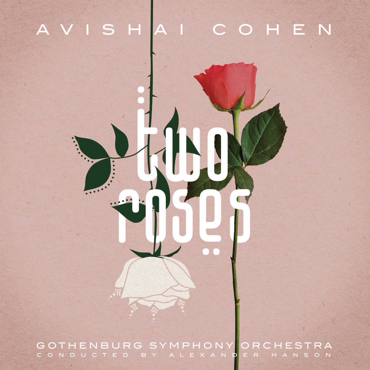 Review of Avishai Cohen: Two Roses