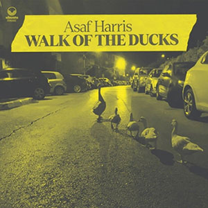 Review of Asaf Harris: Walk of the Ducks