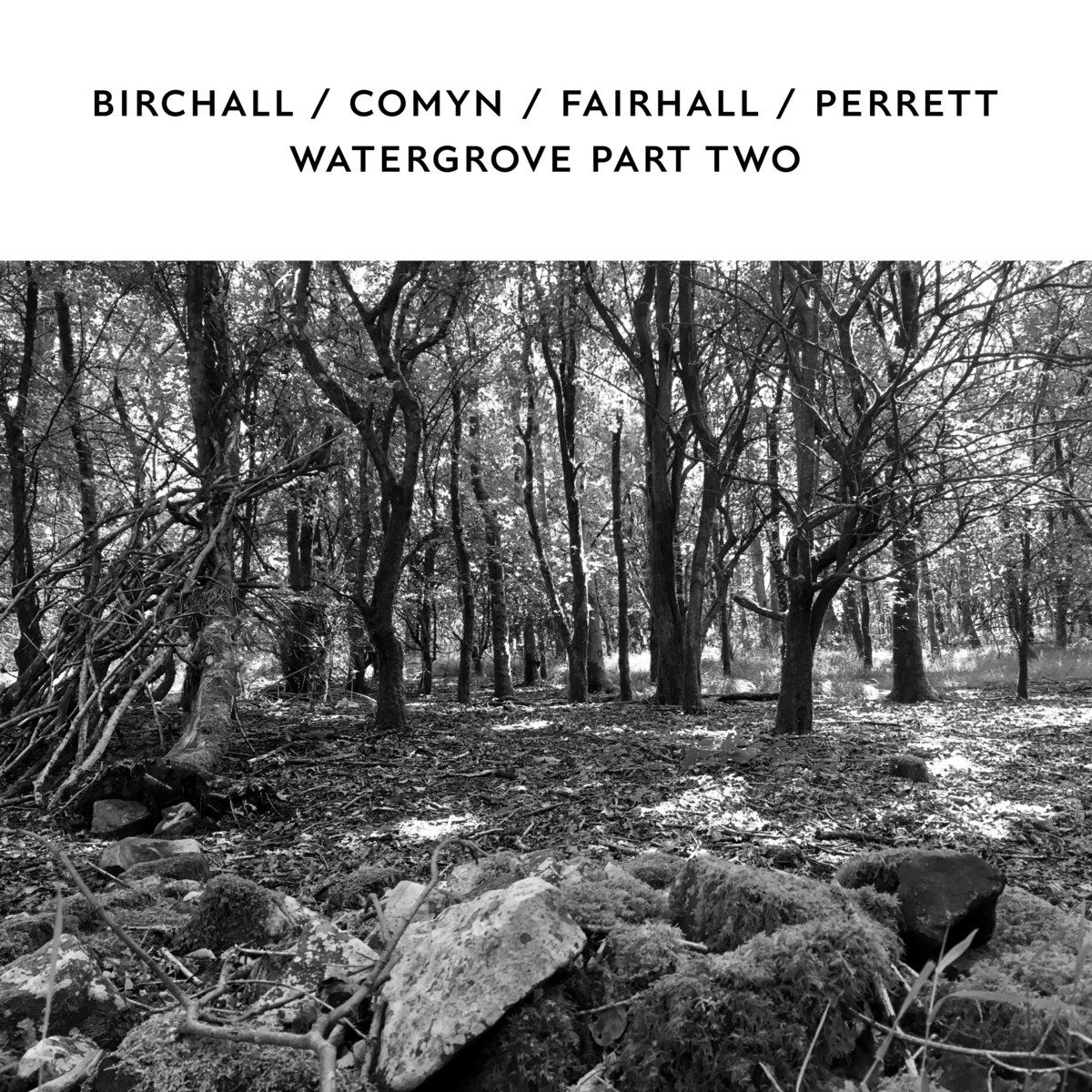 Review of Birchall/Comyn/Fairhall/Perrett: Watergrove Part Two