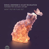 Review of Daniel Erdmann's Velvet Revolutions: Won't Put No Flag Out