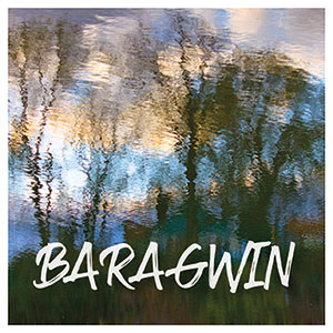 Review of Baragwin