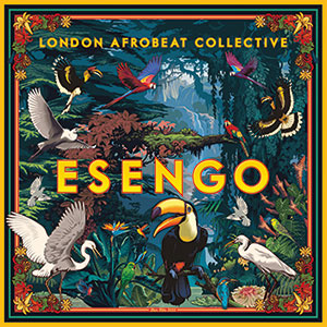 Review of Esengo