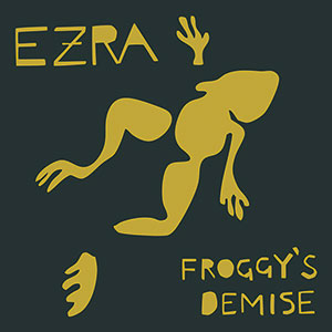 Review of Froggy’s Demise