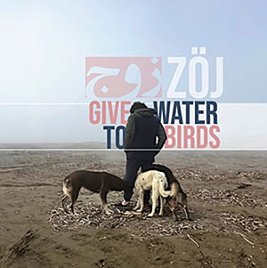 Review of Give Water to Birds