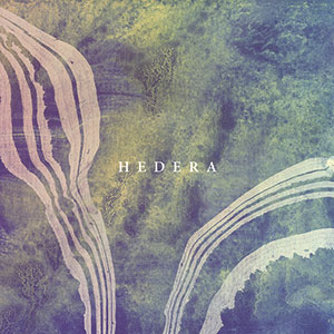 Review of Hedera