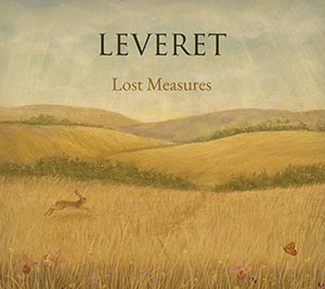 Review of Lost Measures