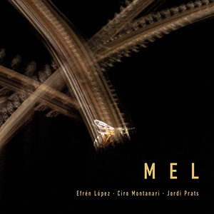Review of MEL