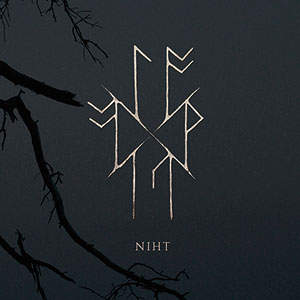 Review of NIHT