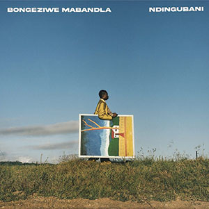 Review of Ndingubani