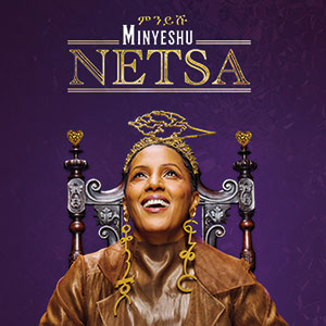 Review of Netsa