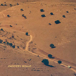 Review of Nocturnal Consolations