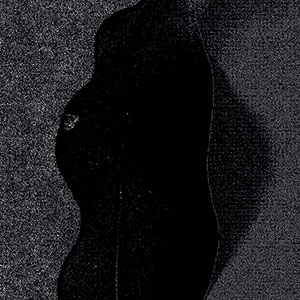 Review of Ŋurru Wäŋa