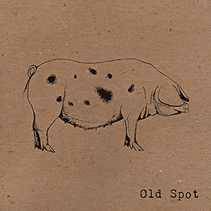 Review of Old Spot