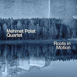 Review of Roots in Motion