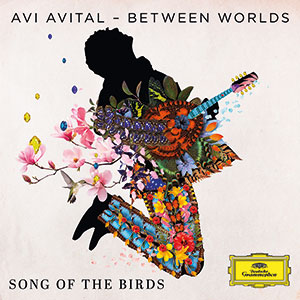 Review of Song of the Birds