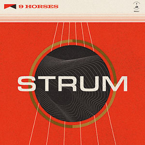 Review of Strum