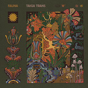 Review of Taiga Trans