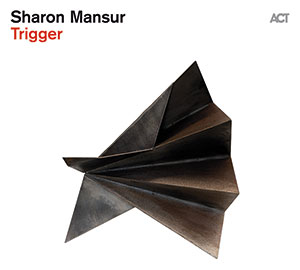 Review of Trigger