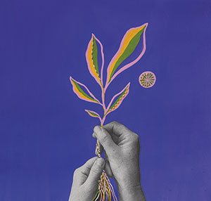 Review of Turn O Spinning Wheel